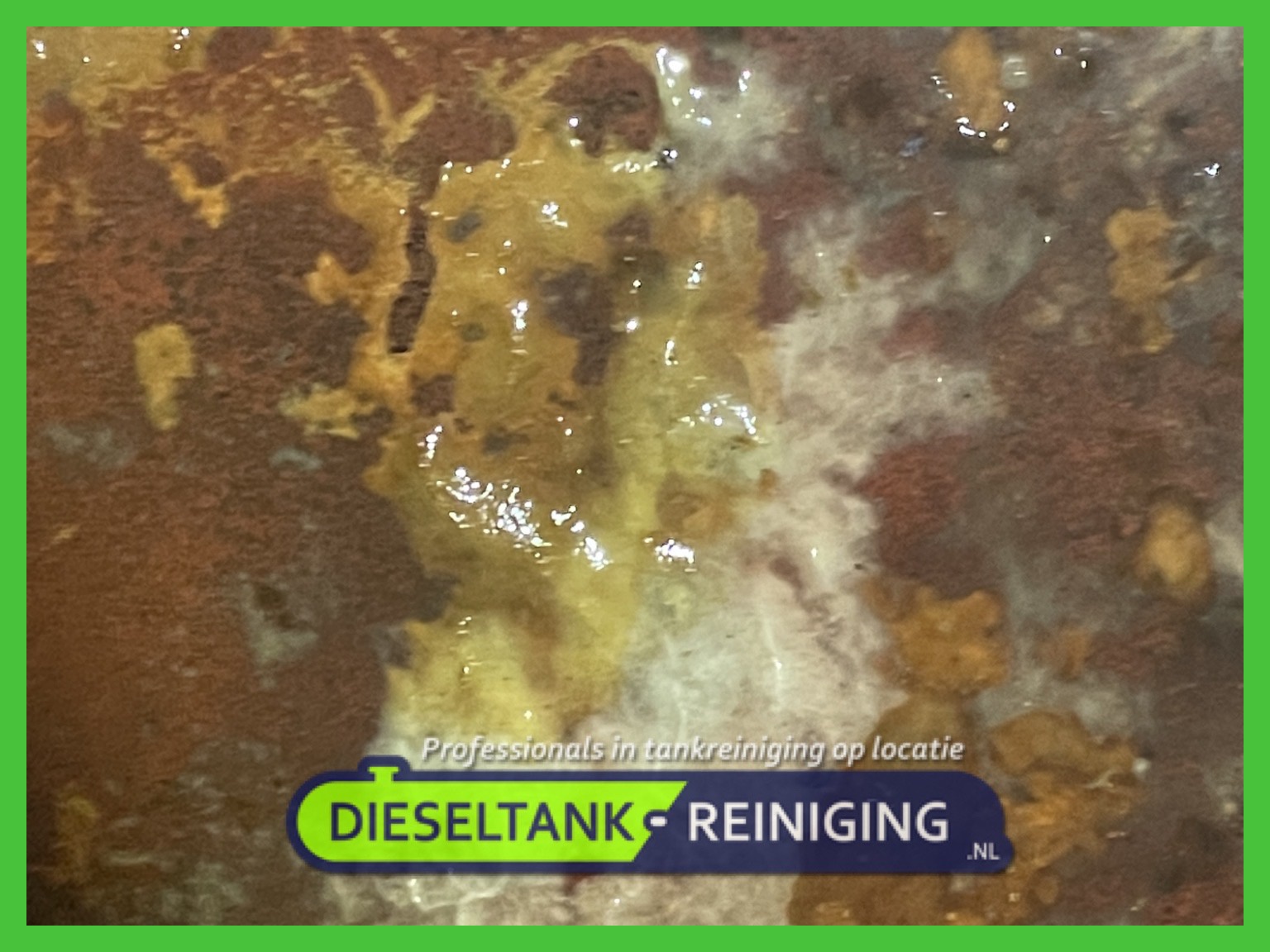 Dieselbacterie